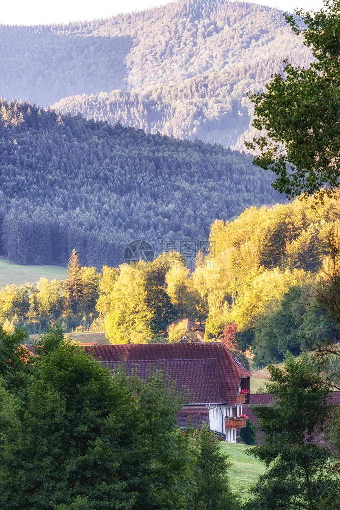 在德国西南黑森林地区进行令人目光舒缓的巡视旅行时图片