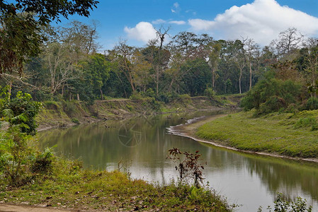 卡齐兰加公园的荒野之地卡齐兰加公园位于东印度该公园成立于1905年背景图片
