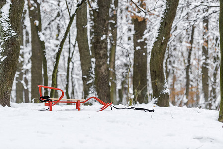 冬季公园雪地上的红色雪橇图片