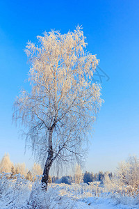 蓝天对面的白雪图片