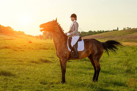 年轻女子在绿色的田野上骑马骑马图片