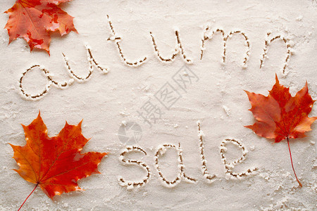 白湿沙的简单设计与形状的叶子设计和信息秋季图片