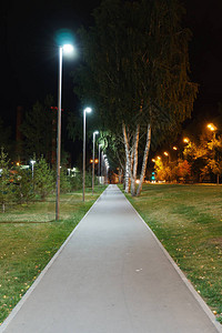 夜间公园沥青路两边的绿灯和可爱的树图片