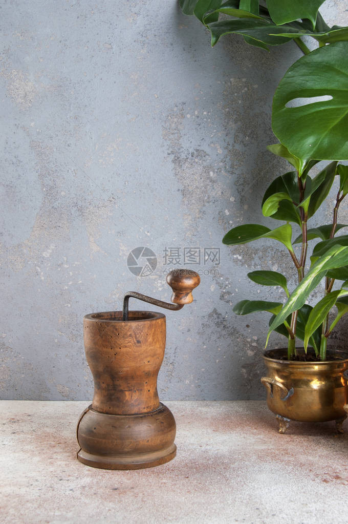 旧咖啡研磨机和古铜花盆中的绿色植物以混凝土为背景图片