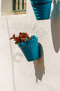 墙上挂着花的陶瓷花盆装饰城市空图片