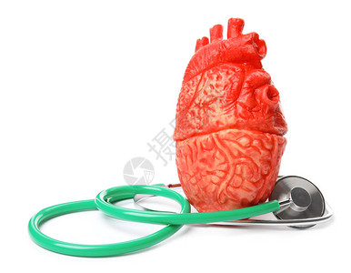 白色背景的心脏模型和听诊器图片