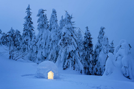 山林中的冰雪夜景和白雪树的夜景梦图片