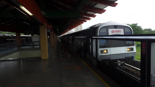新加坡捷运列车在绿树背景的车站新加坡大众快速列车M图片