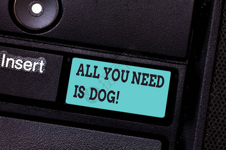 写笔记显示你只需要狗商业照片展示让小狗变得更快乐的犬类爱好者可爱的动物键盘意图创建计算机消息背景图片