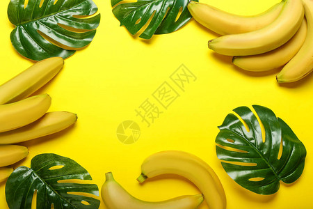 由成熟的甜香蕉和彩色热带树图片