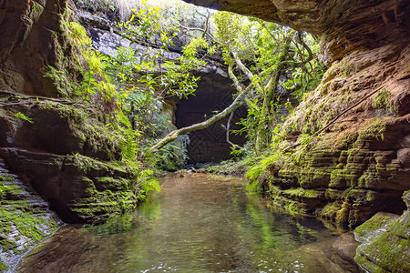 巴西米纳斯吉拉斯州Carrancas雨林中的岩石苔洞穴和植图片