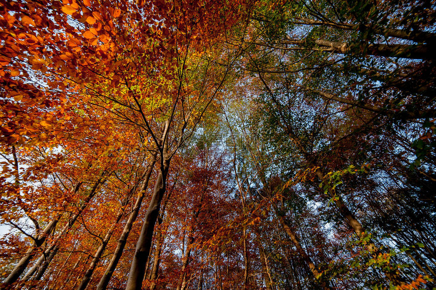 色彩鲜艳的秋天风景图片