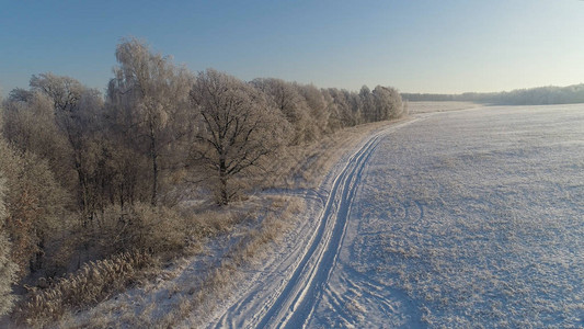 鸟瞰冬季景观雪覆盖的田野和农村的树木农村的冬季道路冬季积雪图片