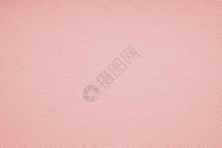 活珊瑚2019年的颜色粉红色图片