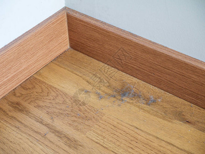 角落和踢脚板上的强化木地板上有灰尘和图片