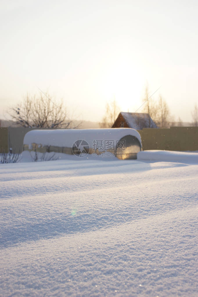 冬天的花园降雪和阳光图片