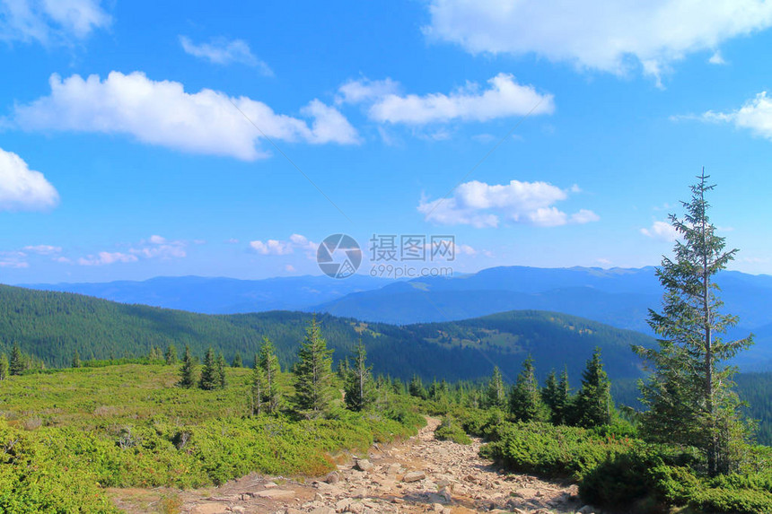 这张照片是在通往乌克兰山顶的路上拍摄的图片