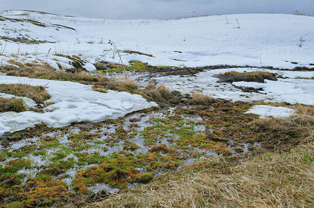 冬天有烂芦苇的沼泽地图片