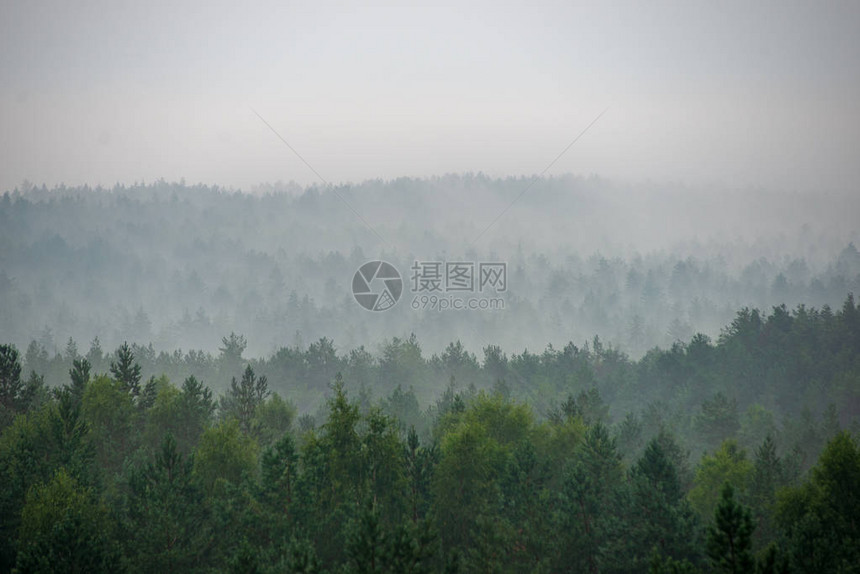 雾的清晨对迷图片