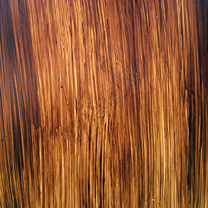 棕色树皮纹理图片