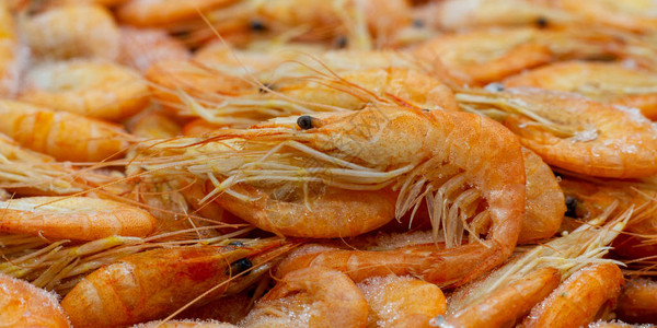 特写解冻的海鲜产品新鲜冷冻的橙色虾和甲壳类动物的宏观照片冷图片