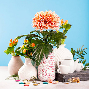 红白花瓶中的美丽的菊花在浅色背景图片