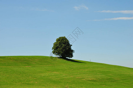 在一片蓝天的草山图片