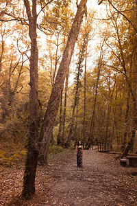 秋天女人在森林中漫步图片
