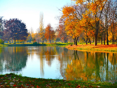 秋天公园湖的森林图片
