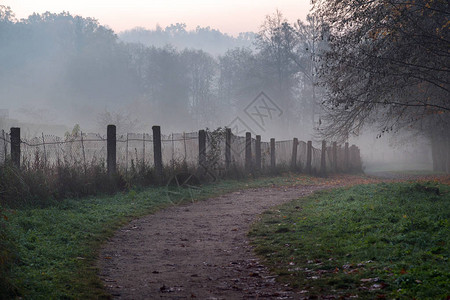 明秋初雾清晨公园的迷雾道路旧围栏秋树和道路在雾中消失图片