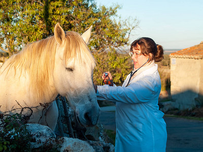 一位农村兽医妇女在农村对一图片