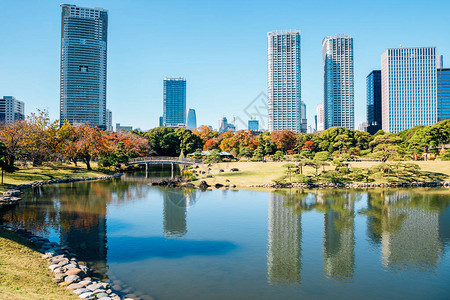 在日本东京秋天的现代建筑和池塘中图片