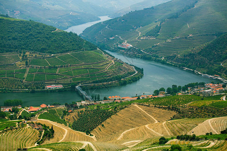 河流的顶端葡萄园就在葡萄牙杜罗谷图片