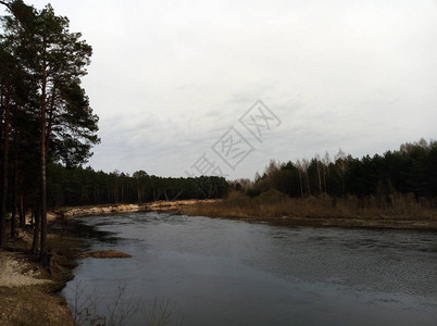 在森林附近的春天或秋天的河流景观图片