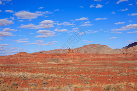 春天的沙漠景观美国图片
