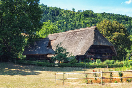 夏季德国南部传统的黑森林农场图片