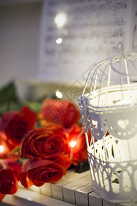 红玫瑰放在白钢琴上面有笔记花图片
