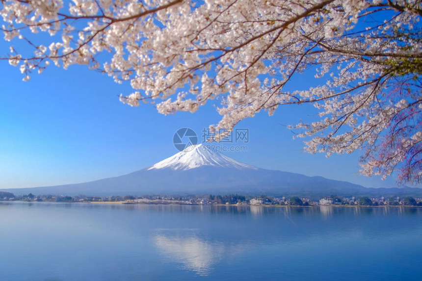 日本山梨县河口湖春季富士山图片