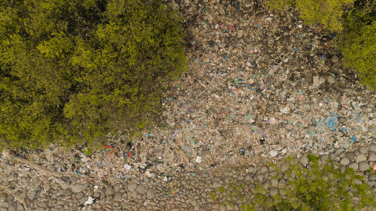 亚洲红树林生态问题中的垃圾环境污染图片