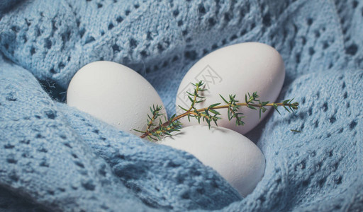节日复活节装饰白色复活节鸡蛋背景是温图片