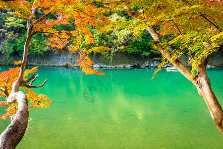 美丽的阿拉希山河在日本京都秋季湖周围有背景图片