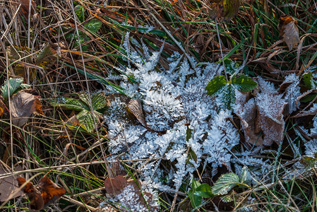 冰模式秋末天和土壤图片