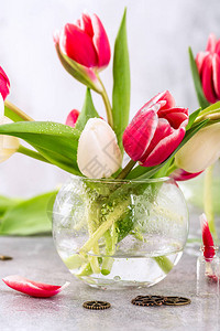 浅灰色背景上的玻璃花瓶中的粉色和白色郁金香女人节的礼物图片