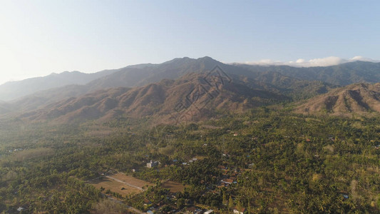 鸟瞰农业田与播种的绿色玉米烟草田对山印度尼西亚爪哇农村地区的农作物种背景图片