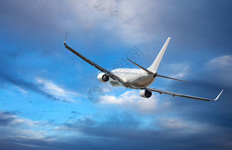 白色客机宽体飞机飞机在蓝图片