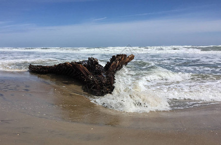 OBX海滩上的海难背景图片