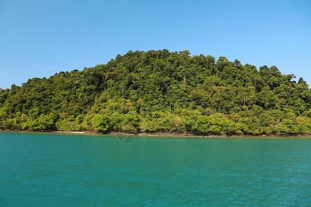 泰国暹粒湾绿岛图片
