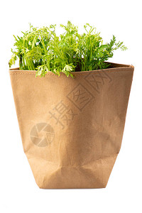 回收的棕色袋子里面有白色背景的蔬菜图片