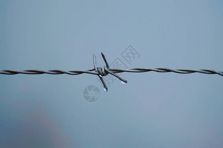 金属铁丝网围栏图片