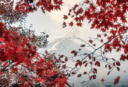 河口湖秋天红叶枫的富士山图片